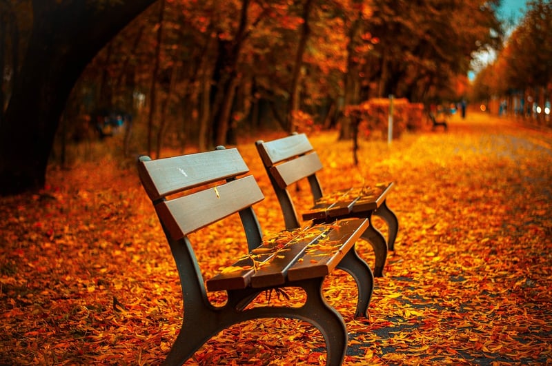 Autumn Display